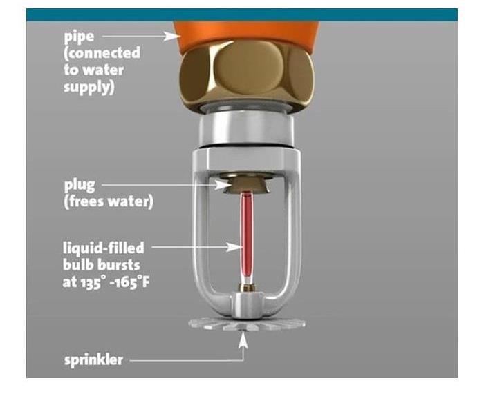 Picture of a fire sprinkler, diagraming the specific parts of a fire sprinkler