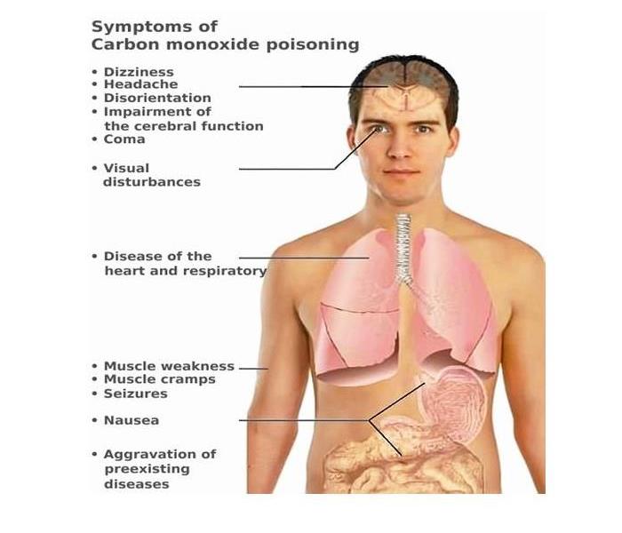 Picture of human body with diagraming the systems of Carbon Monoxide
