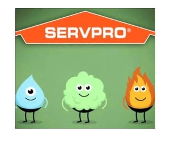 Servpro water icon, mold icon, and fire icon