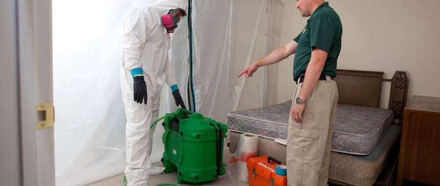 Greeley, CO mold removal process